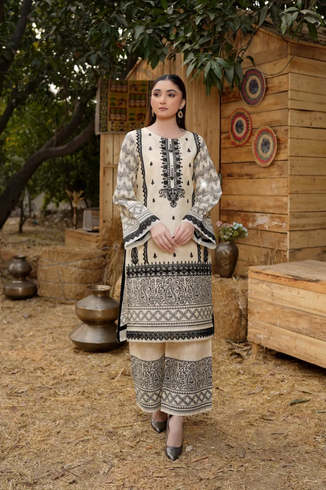 2 Piece Cotton Lawn Suite-Embroidered-HR38 - Image 4