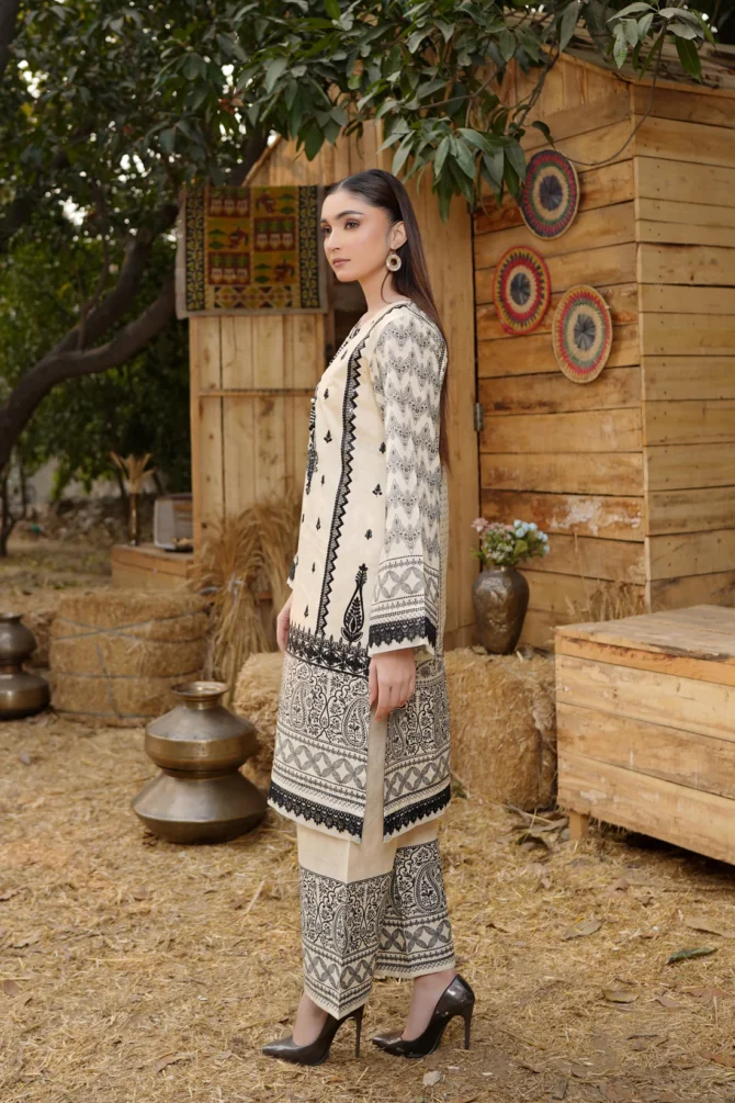 2 Piece Cotton Lawn Suite-Embroidered-HR38 - Image 3