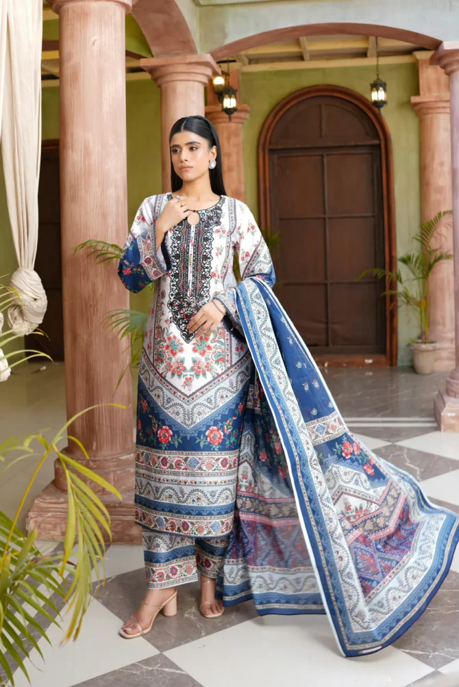 HAYAT 3 PIECE  SUIT EMBROIDERED WITH PRINT-HR21 - Image 3