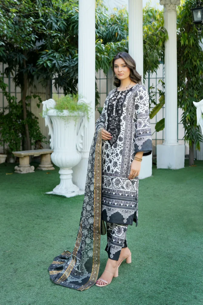 AABROO 3 PIECE  SUIT EMBROIDERED WITH PRINT-HR17 - Image 6