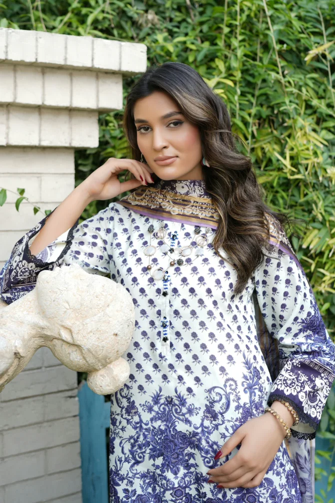 AFSANA 3 PIECE  SUIT EMBROIDERED WITH PRINT-HR18 - Image 6